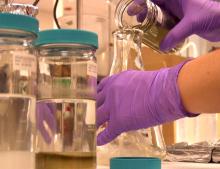 Scientist analyzing samples.