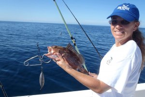 The project includes distributing fish descender devices to recreational anglers and teaching best practices on their use.