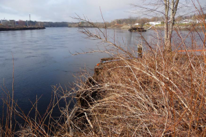 View of the Penobscot River looking just north of the site from the southeast side of the river.